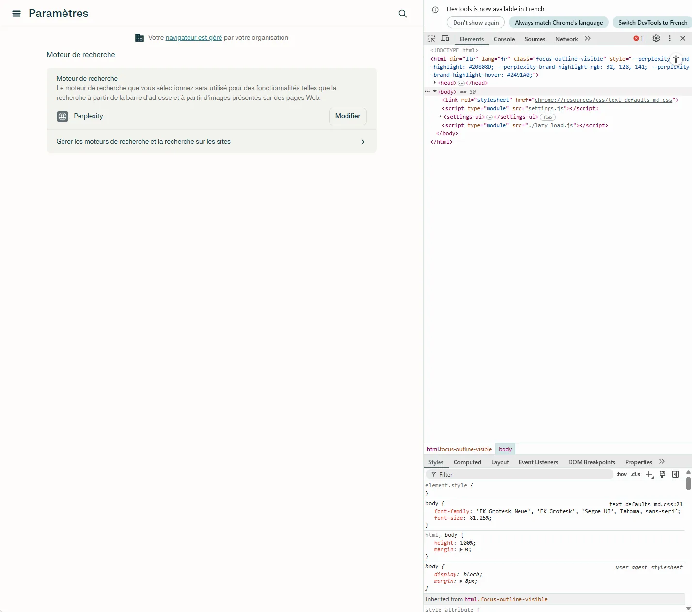 DevTools montrant l'intégration Perplexity