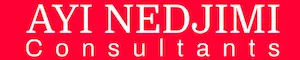 Logo Ayi NEDJIMI Consultants
